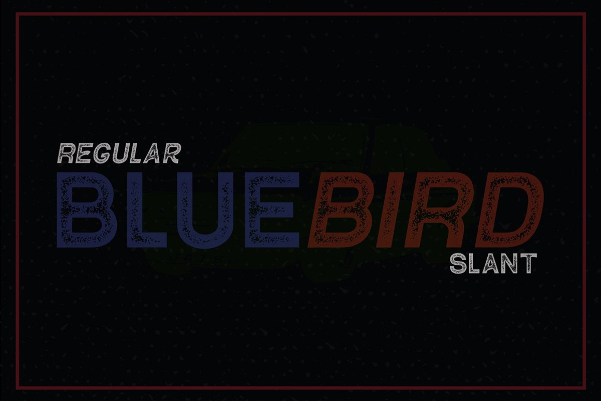 VT Contender - Vintage Display Font preview 5