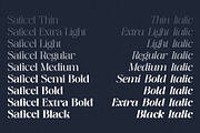 Saficel | With 18 Font, a Serif Font by Pista Mova (Thumbnail 3 of 12)