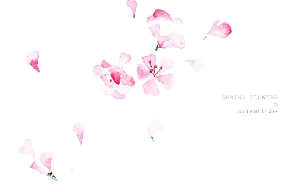Sakura, a Decorative Illustration by Knysh Ksenya (Photo 2 of 8)