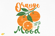 Retro Summer Fruits PNG Bundle, a Seasonal Illustration by LemonDesign (Thumbnail 4 of 9)