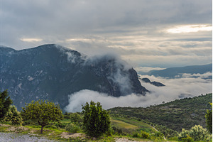 Misty mountains of the Sierra Madre, a Nature Photo by Elizaveta Galitskaya