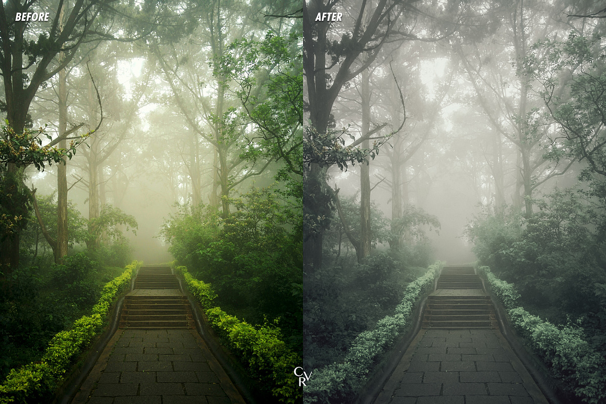 15 Fog Lightroom Presets, a Preset Add-On by CVR Presets (Photo 5 of 6)