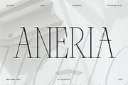 ANERIA — Editorial Serif, a Serif Font by Issam Type (Thumbnail 1 of 14)
