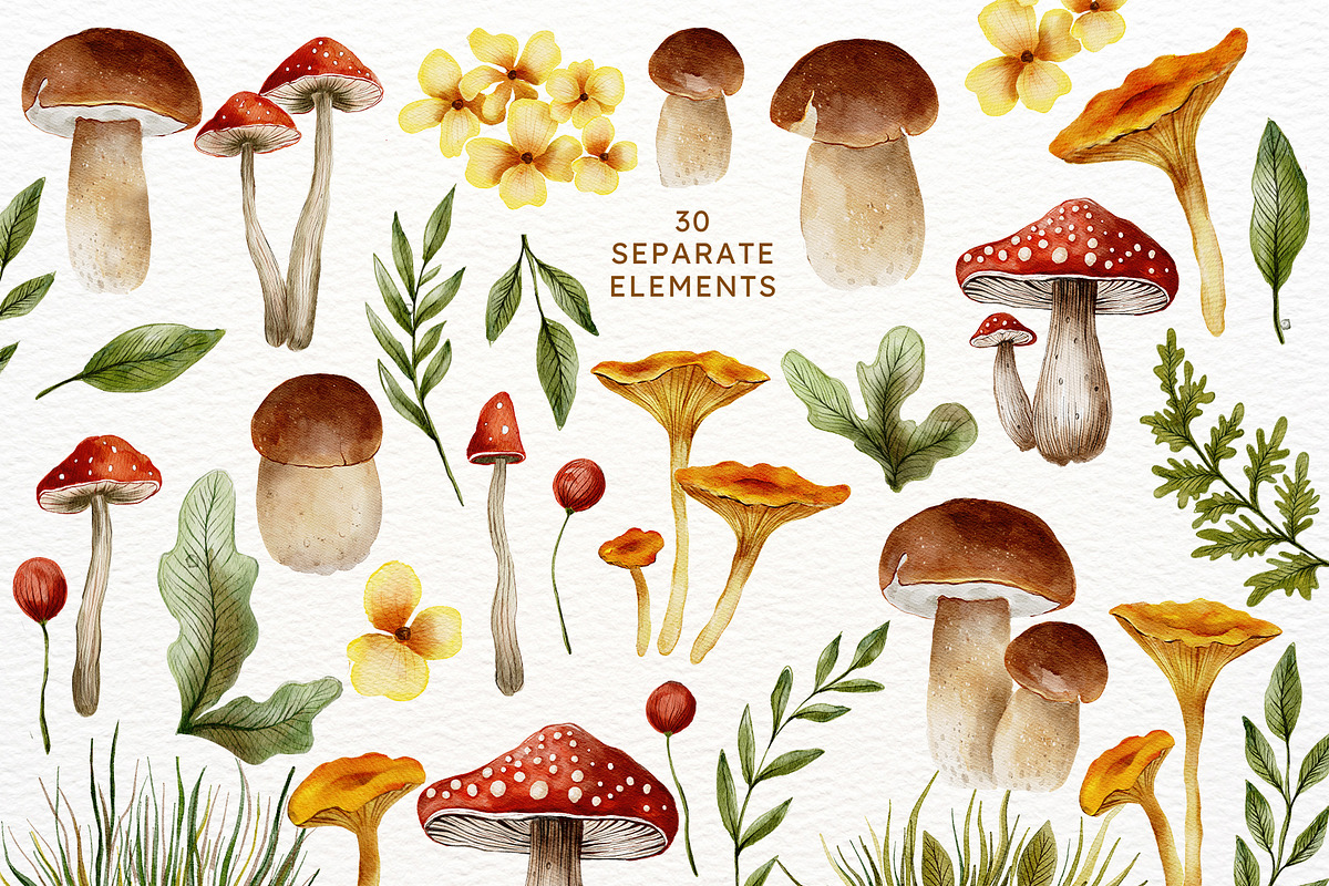 Mushroom Watercolor Fall Graphics, an Illustration by Red Ink (Photo 8 of 9)