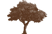 100 Tree Brush Stamps Photoshop, a Brush Add-On by Chipshpow Graphics (Thumbnail 3 of 8)