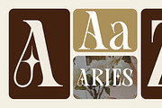 Rook Castle – Bold Gothic Display, a Serif Font by roomspace creative lab (Thumbnail 7 of 12)