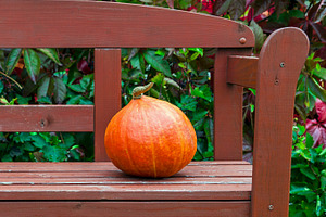 Pumpkin on the bench, a Food & Drink Photo by BOOCYS