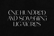 SALE! Type Maestro -  serif font, a Serif Font by VP Fonts (Thumbnail 5 of 25)