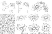Ink Vector Chamomile, a Decorative Illustration by Sweet_print (Thumbnail 6 of 6)