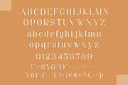 Daeling - Modern Serif Font, a Serif Font by Aqeel_Art (Thumbnail 11 of 12)