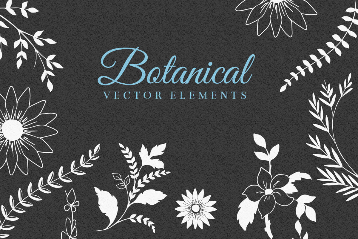 Floral Decorative Elements, a Decorative Illustration by Solana (Photo 3 of 3)