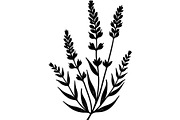 Decorative Tribal Feather Vector, an Object Graphic by Designer_Momina (Thumbnail 1 of 18)