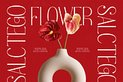 Salctego Modern Luxury Display, a Sans Serif Font by timelesstype.co (Thumbnail 13 of 20)