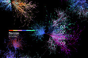 Neurones, a Healthcare Illustration by Colorpong (Thumbnail 3 of 10)