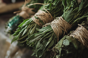 Freshly harvested herbs bundled with, a Nature Photo by MistyDay