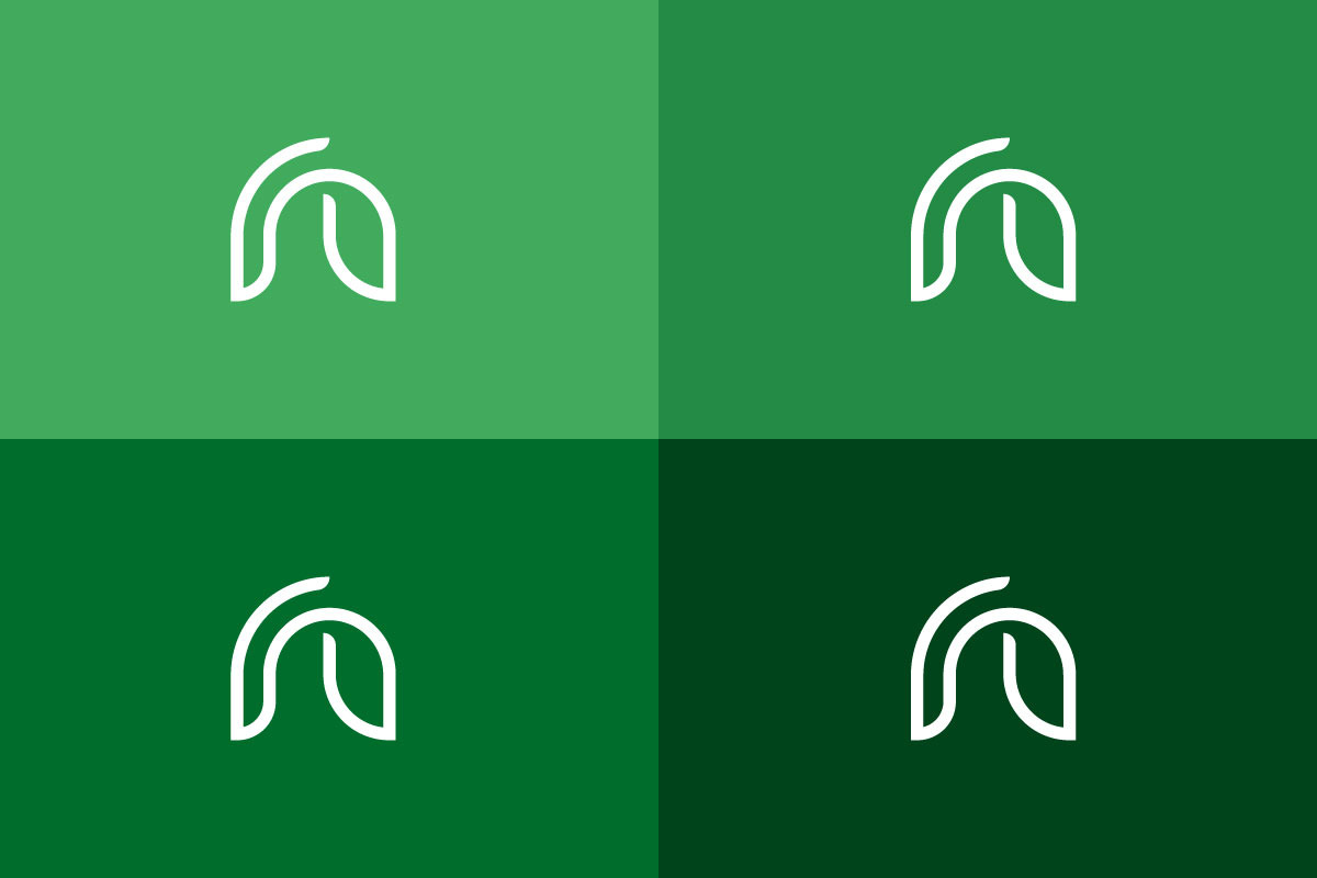 Modern Organic Line N Letter Logo preview 5