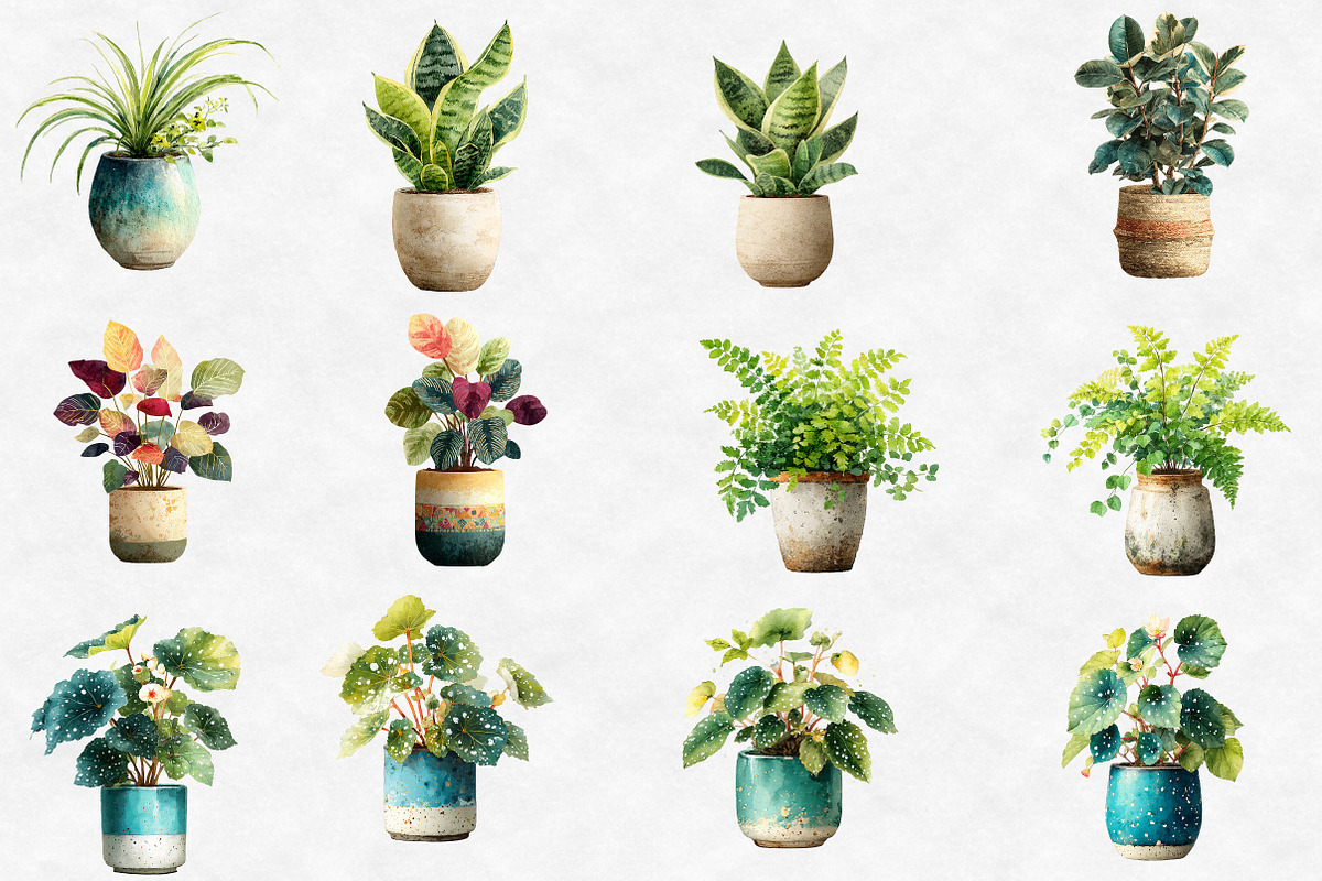 Watercolor House Plants clipart, an Illustration by Designworld (Photo 3 of 6)