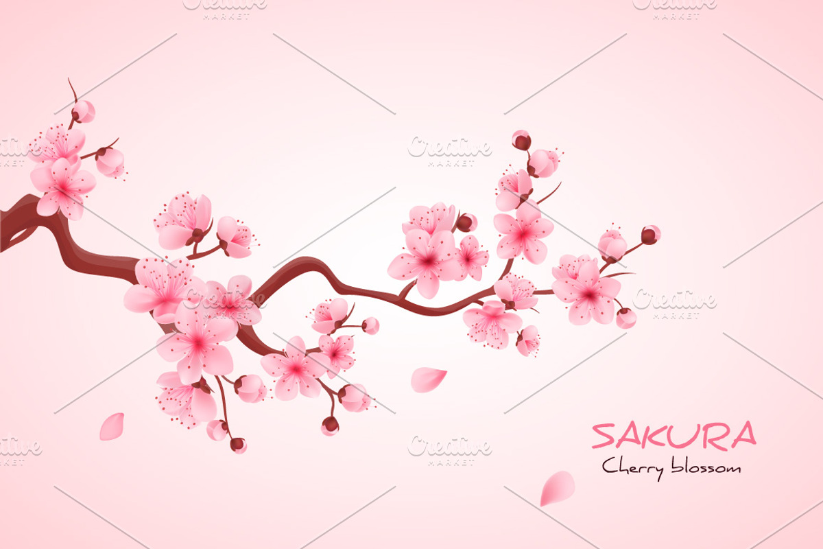 Realistic sakura, a Decorative Illustration by inifer (Photo 3 of 3)