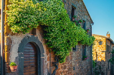 Entrance decorated with jasmine, an Architecture Photo by Alpine Dreams