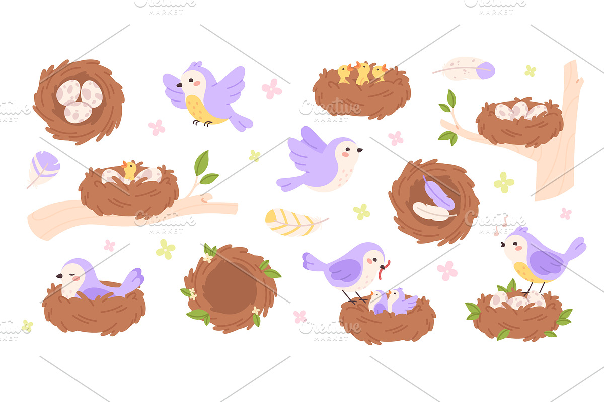 Cartoon bird nests. Newborn birds, an Animal Illustration by LadadikArt