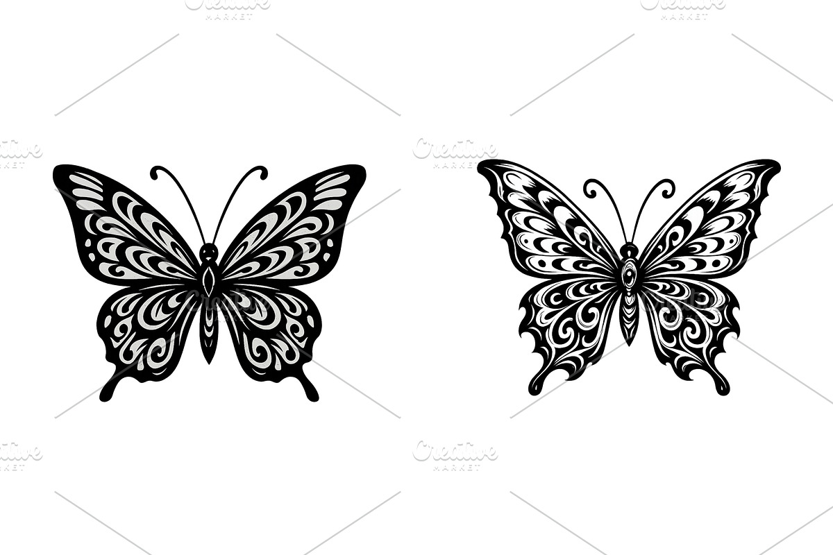 Elegant butterfly illustrations, an Illustration by ZinetroN