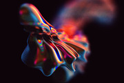Fusion: Vibrant Abstraction, an Object Graphic by RuleByArt (Thumbnail 13 of 14)