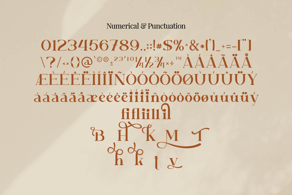 Heterogent - Premium Serif Font, a Serif Font by Artiveko (Photo 8 of 8)