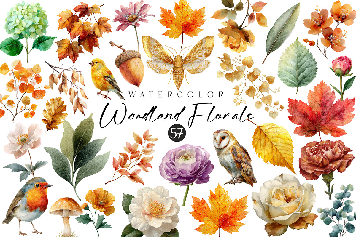 Florals and Woodland Clipart, an Illustration by CreationArt (Photo 1 of 3)