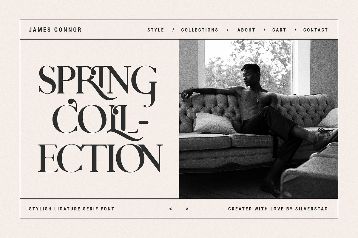 Charles - Chic Ligature Serif Font preview 8