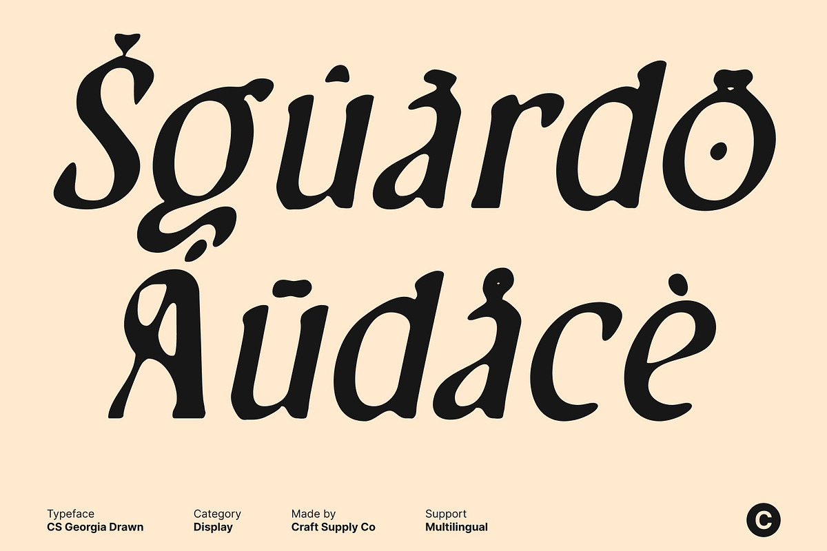 CS Georgia Drawn, a Serif Font by Craft Supply Co. (Photo 6 of 8)