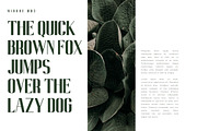 Midore - Modern Sans Font, a Sans Serif Font by Almeera Std (Thumbnail 4 of 5)