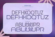 Ernale William, a Symbol Font by Nathatype (Thumbnail 7 of 11)