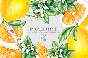 Pomelo Fruit Watercolor Collection