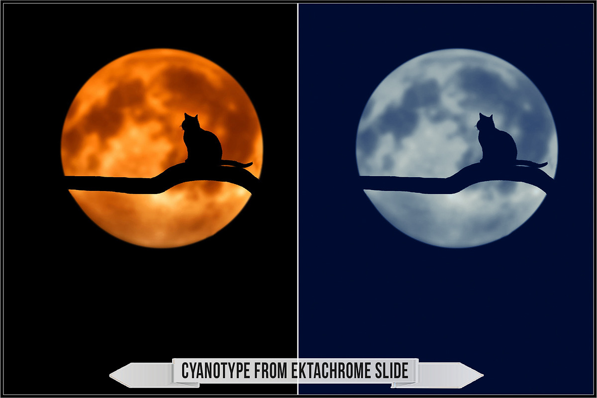Authentic Cyanotype LUTs, a Plug-in Add-On by Raztrend (Photo 31 of 32)
