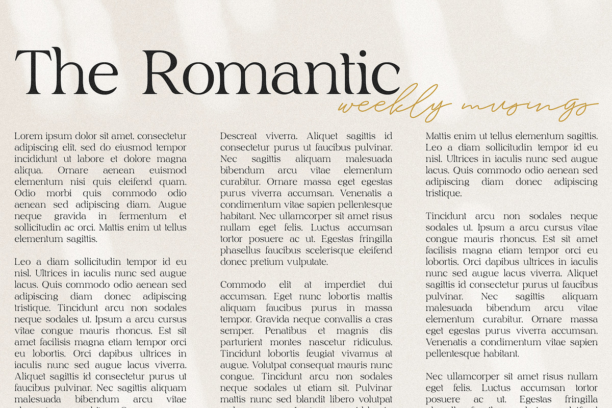 Ochre | A Branding Serif preview 4