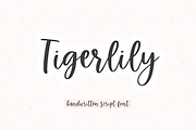 Tigerlily | Handwritten Script Font, a Script Font by KA Designs (Thumbnail 1 of 9)