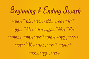 Pumpkin Web, a Script Font by Attype (Thumbnail 8 of 9)