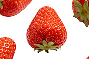 All Fruits Bundle Master Collection, a Food & Drink Photo by FlyeredTemplate (Thumbnail 81 of 130)