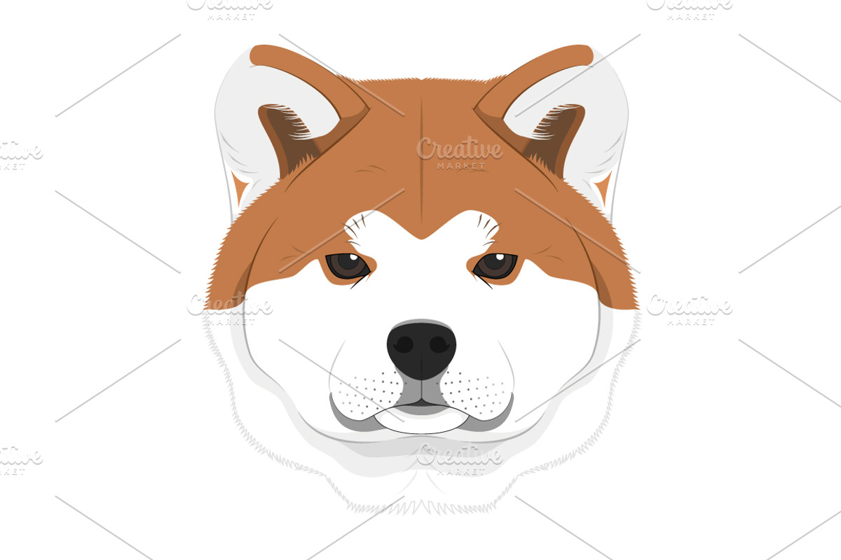 30x Dog breeds Set 2, an Animal Illustration by asantosg (Photo 5 of 7)