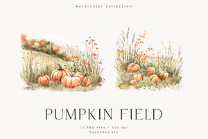 Pumpkin Field