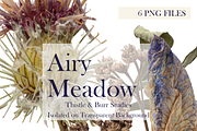 Airy Meadow – Thistle & Burr Studies, an Object Graphic by Aga Silva (Thumbnail 3 of 5)