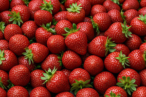 Many fresh ripe strawberries with gr, a Food & Drink Photo by professorinc