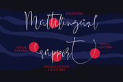 Fatal Grace. Signature Script Font., a Script Font by ClipArtRoom (Thumbnail 2 of 11)