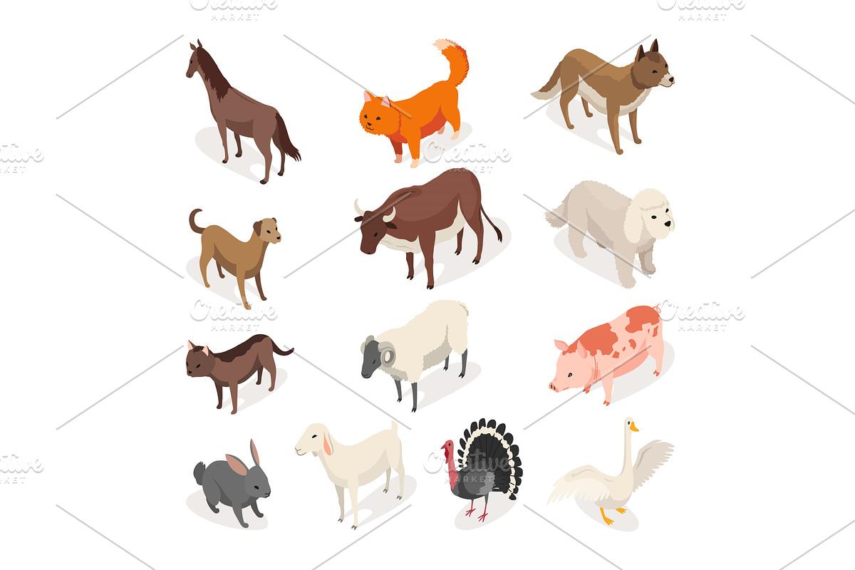 Farm animals isometric set. Domestic, an Animal Illustration by the8monkey