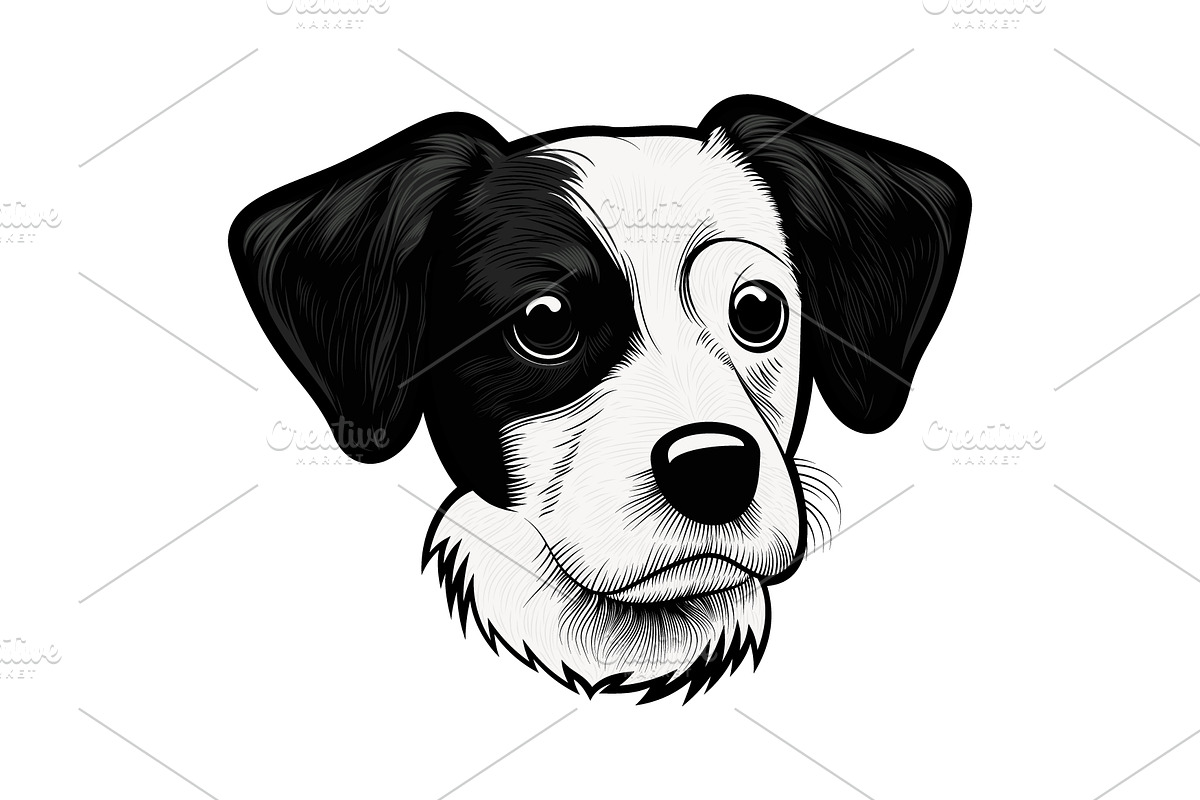Black and White Dog Portrait, an Animal Illustration by Ghagra (Photo 2 of 4)