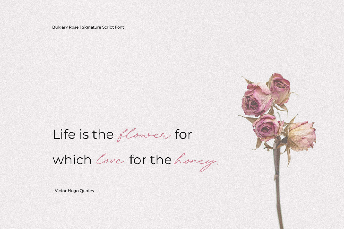 Bulgary Rose Signature Script Font, a Handwritten Font by Heinzel Std (Photo 16 of 20)