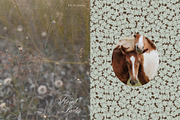 Vintage Floral Frames & Overlays, an Object Graphic by alonahaidash (Thumbnail 3 of 19)