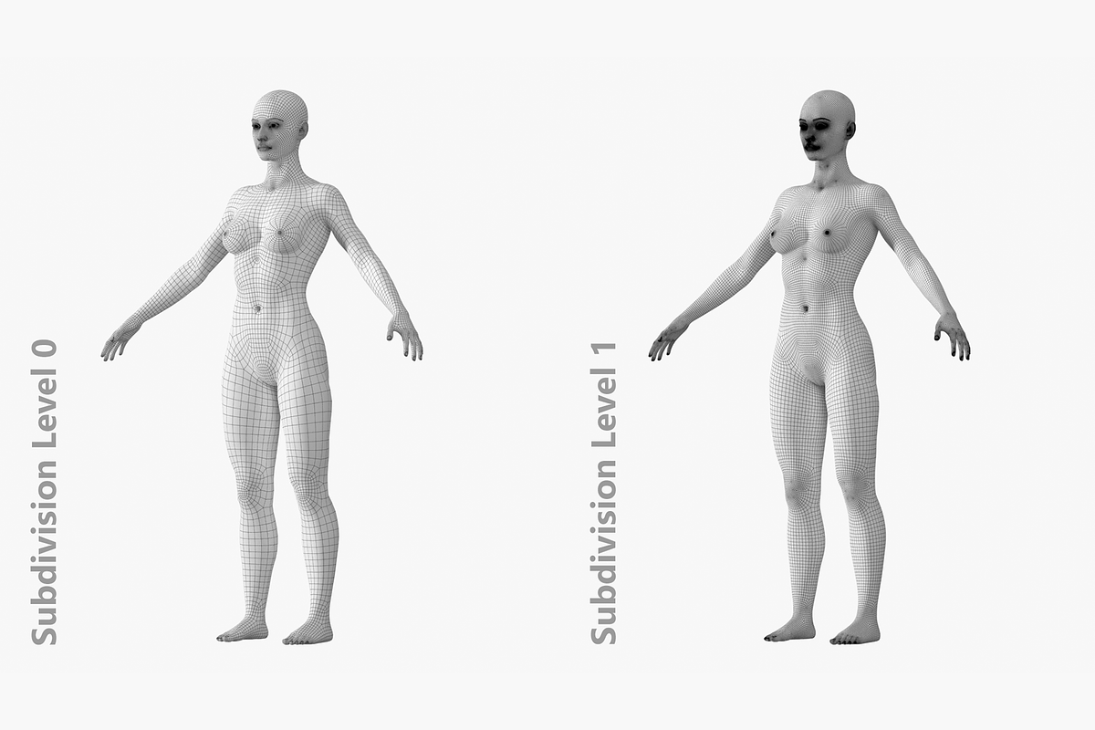 Natural Female 01 A-Pose Base Mesh, a Characters & Person 3D Model by VK Studio (Photo 20 of 26)