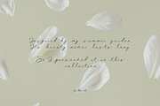 Petals Botanical Overlay Kit & Paper, an Object Graphic by Allure Art (Thumbnail 21 of 22)
