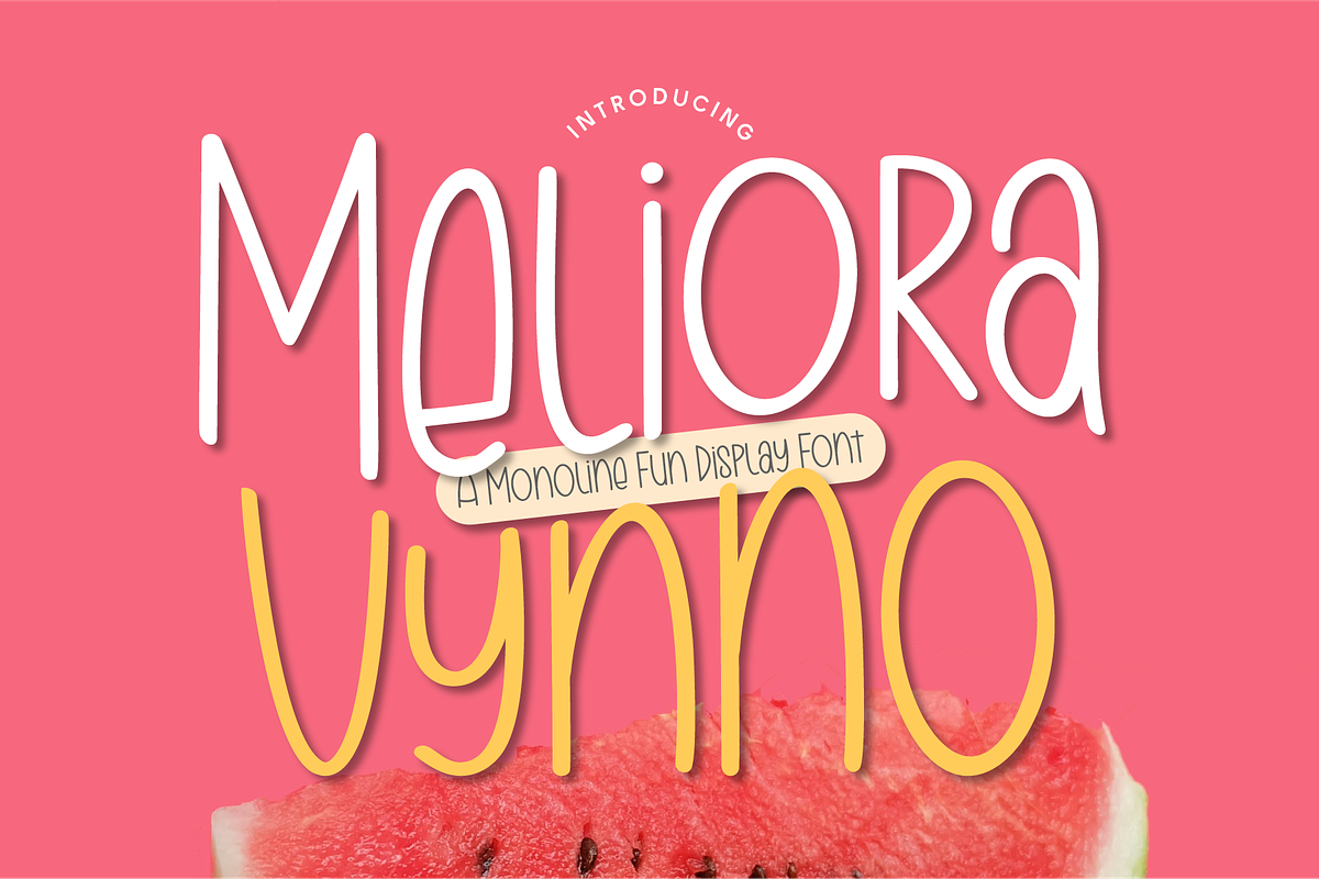 Meliora Vynno - Monoline Fun Display, a Handwritten Font by Indotype Foundry (Photo 1 of 10)